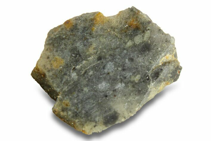 Lunar Meteorite Fragment - Bechar #280832